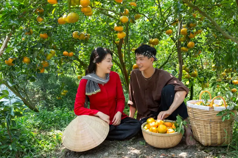 耐火材料行业节能降耗技术趋势与保温材料应用前景